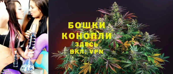 сатива Арсеньев
