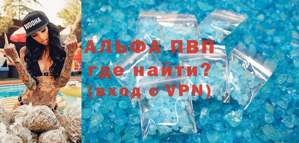 сатива Арсеньев
